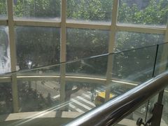 -同济大学附属口腔医院