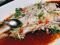 -马仕玖煲·融合菜·酥不腻烤鸭(人大店)