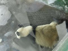 -临沂动植物园