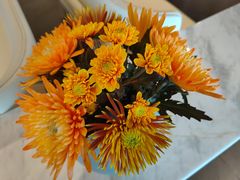 -南堂馆·新川菜(春熙路店)