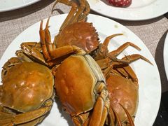 -东方红海鲜百汇(国际大厦店)