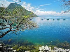 -抚仙湖禄充风景区