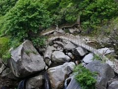 -洛阳白云山景区
