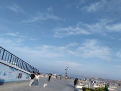 -阿弟特色海鲜餐厅·大排档(平潭店)