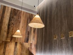 -蘑界·野生菌火锅(深业上城店)