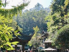 -凤栖山