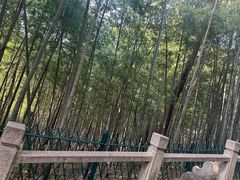 -灵岩山风景区