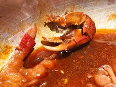 肉蟹煲-谢蟹浓(西铁营万达店)