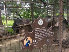 -意大利农场西餐厅(顺义店)