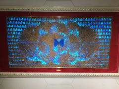 -上海昆虫博物馆