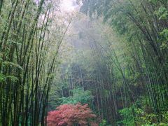 -常德桃花源景区