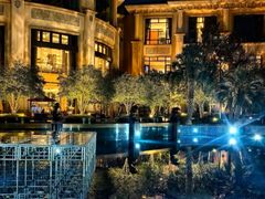 -上海闵行星河湾酒店