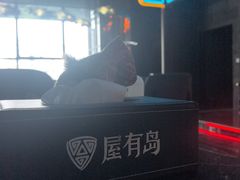 -屋有岛沉浸游戏旗舰店(中山公园店)
