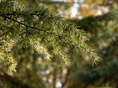 -西安市长乐公园