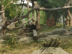 -武汉动物园
