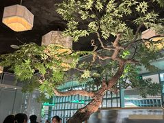 -绿茶餐厅(广州天河城店)