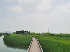 -苏州太湖湖滨国家湿地公园