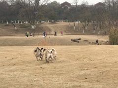 -钟山体育运动公园