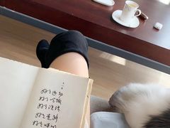-青岛朗艺美术馆·海景咖啡