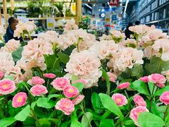 -宜家家居(西安未央商场店)