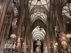 -斯蒂芬主教座堂(Stephansdom)