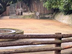 -泉州海丝野生动物世界