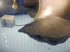 -湖南省地质博物馆