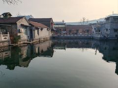 -景明轩•养生酸汤鱼火锅 云贵鲜菌 现舂野果酸汤(王寨小区店)