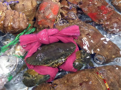 -渔傅·蓝海岸霞浦海鲜(正祥店)