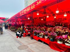 -朝陽市場