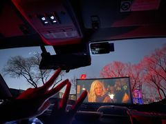 -枫花园汽车电影院(朝阳公园店)