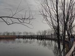 -绿堤公园