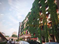 -新疆巴州金丝特餐厅(大钟寺店)