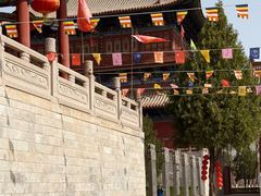 -大槐树寻根祭祖园