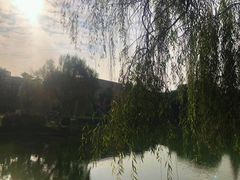 -西南交通大学(九里校区)