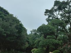 -番禺大夫山森林公园