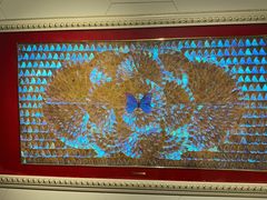 -上海昆虫博物馆