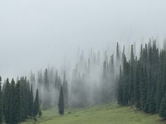 -新疆那拉提国家旅游度假区