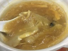 招牌海参大只翅-添發碗仔翅美食