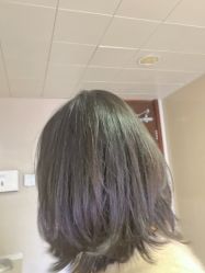 -蚂蚁造型俱乐部