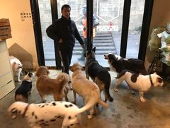 -萌喵咖啡屋(人民东路4号口M16商铺店)