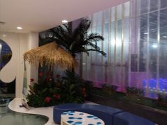 -南宫温泉水世界