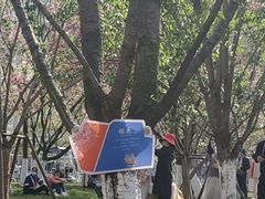 -西北湖绿化广场