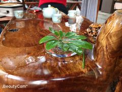 -白鹭湾湿地公园