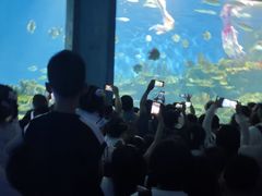 -海合安武汉极地海洋公园