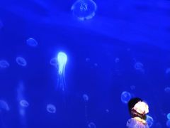 -江和美海洋公园