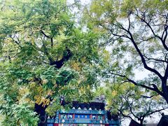 -北京国子监胡同