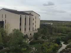 -上海崇明金茂凯悦酒店