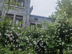 -台儿庄古城