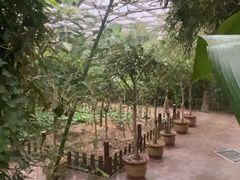 -忆江南·生态餐饮宴会酒店